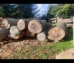 30 m 3 drewna  klody  