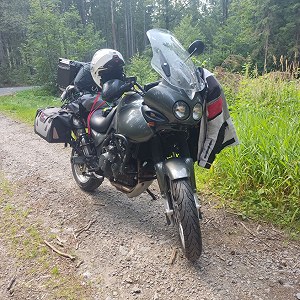 Triumph Tiger 955i