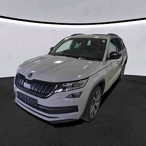 Audi e-tron x 1, Skoda Kodiaq x 1