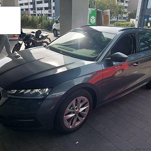 Skoda Octavia x 3