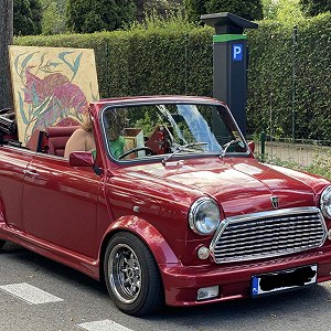 Rover Mini