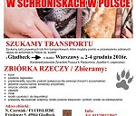Dary dla schronisk dla zwierząt- transport Gladbeck do Warszawa