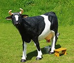 Sztuczna krowa do dojenia