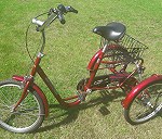 rower trójkołowy dla dorosłych