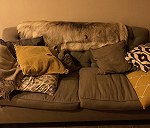 2 sofas (2m x 1m x 1.5m), 1 desk (118cm x 55cm x 78cm) and 1 mattress (180cm x 200cm x 110cm)