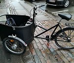 Cargo Bike