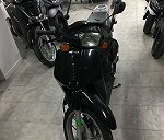 Scoopy SH100