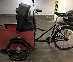 rower cargo (trzykołowy, ze skrzynią transportową)