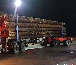 transport dłużycy, max. 14 metrowe długosci drewna wycietego z lasu