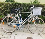 2 rowery miejskie