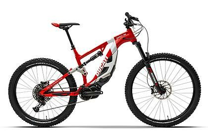 Elektro-Fahrräder (MTB-Mountainbikes) x 2