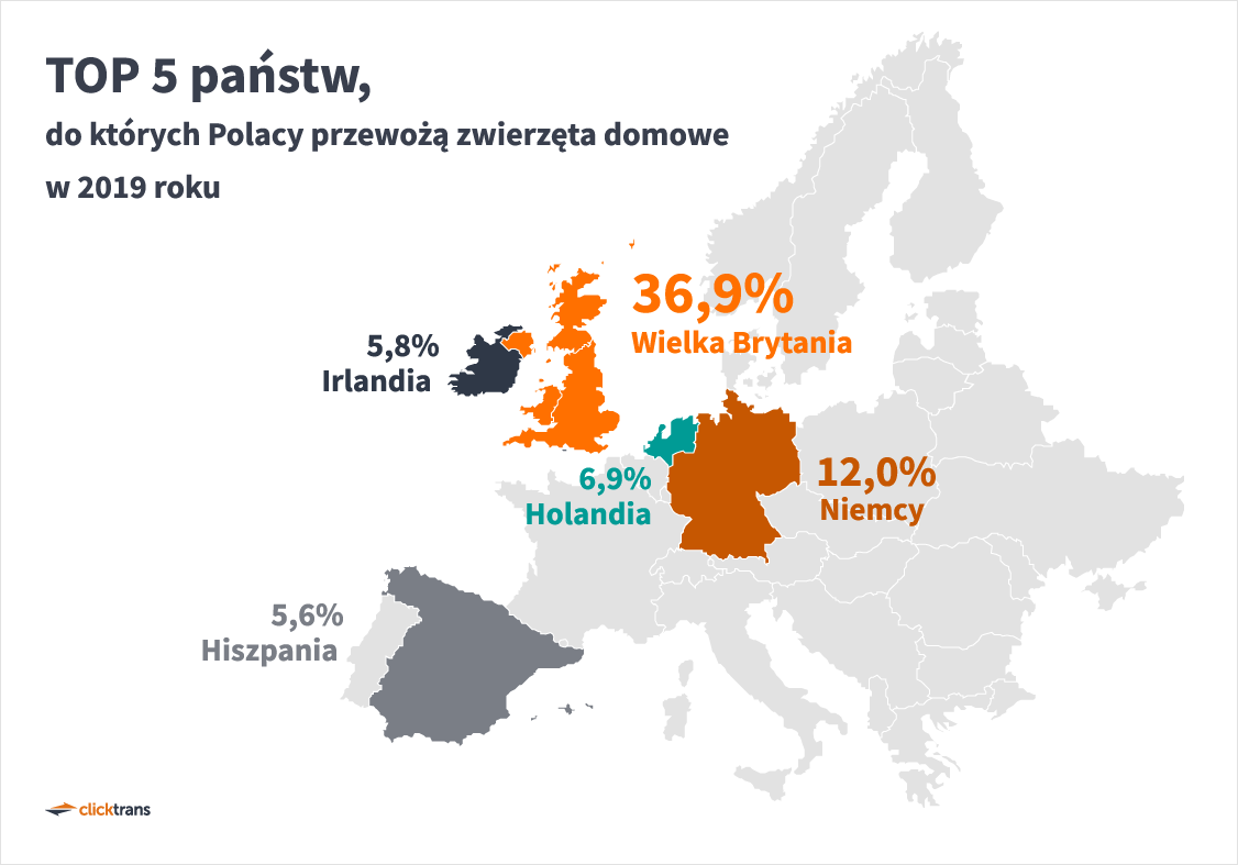 TOP 5 państw, do których Polacy przewożą zwierzęta domowe w 2019 roku