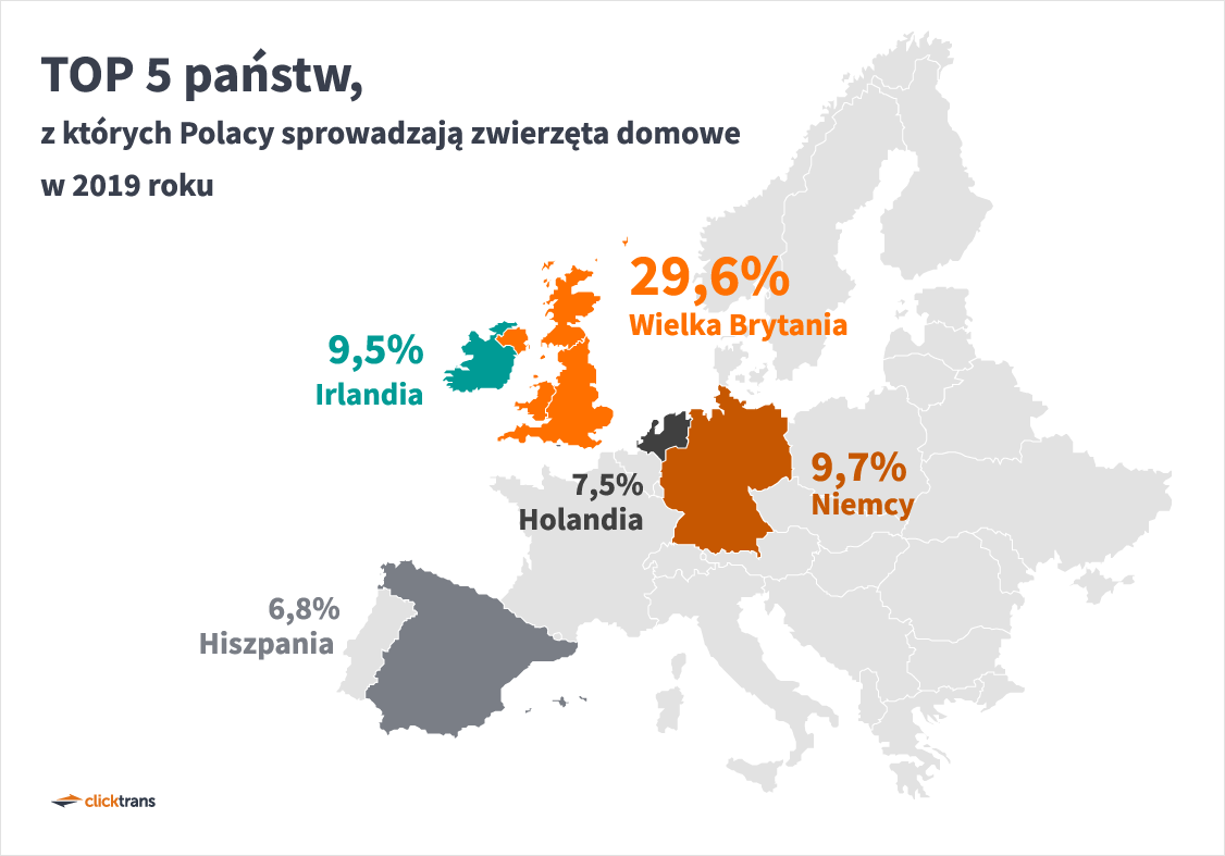 TOP 5 państw, z których Polacy sprowadzają zwierzęta domowe w 2019 roku