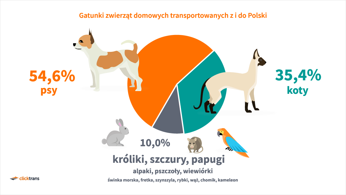 Gatunki zwierząt domowych transportowanych z i do Polski