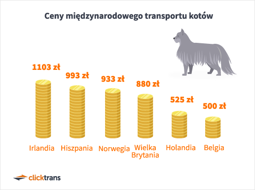 Ceny międzynarodowego transportu kotów